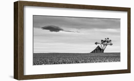 Companions-Trent Foltz-Framed Art Print