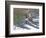 Companions-Bruce Dumas-Framed Giclee Print