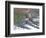 Companions-Bruce Dumas-Framed Giclee Print