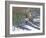 Companions-Bruce Dumas-Framed Giclee Print