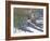 Companions-Bruce Dumas-Framed Giclee Print