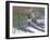 Companions-Bruce Dumas-Framed Giclee Print