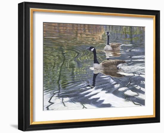 Companions-Bruce Dumas-Framed Giclee Print