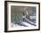 Companions-Bruce Dumas-Framed Giclee Print