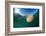 Compass jellyfish, Talland Bay, Cornwall, UK-Alex Mustard-Framed Photographic Print