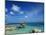 Compass Point, Nassau, Bahamas-William Gray-Mounted Photographic Print