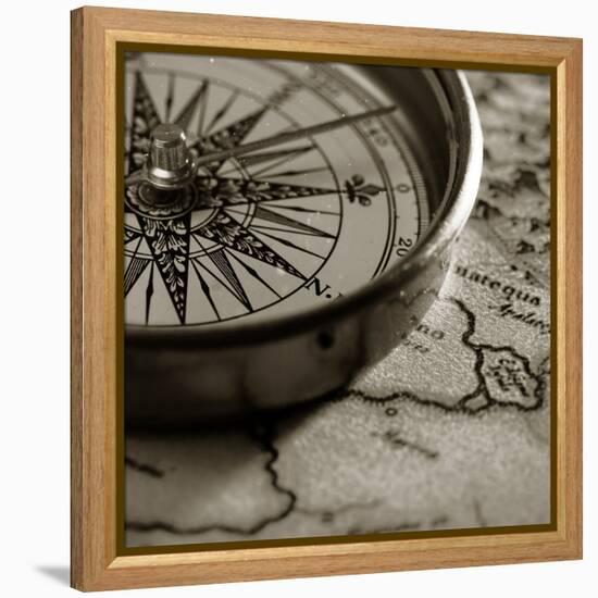 Compass-null-Framed Premier Image Canvas