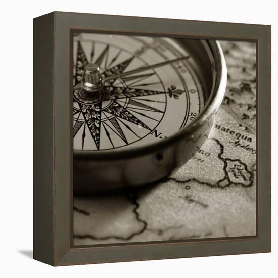 Compass-null-Framed Premier Image Canvas