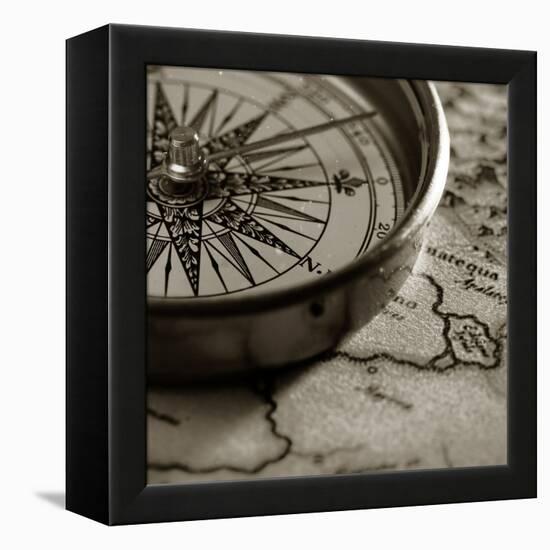 Compass-null-Framed Premier Image Canvas