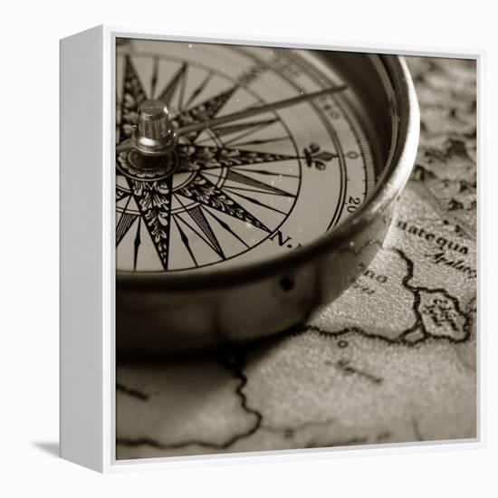 Compass-null-Framed Premier Image Canvas