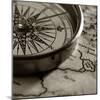 Compass-null-Mounted Photographic Print