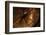 Compass-Uwe Merkel-Framed Photographic Print