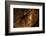 Compass-Uwe Merkel-Framed Photographic Print