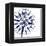 Compass-The Saturday Evening Post-Framed Premier Image Canvas