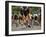Competitive Cycling-null-Framed Photographic Print