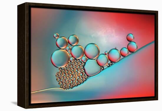 Complementary-Heidi Westum-Framed Premier Image Canvas