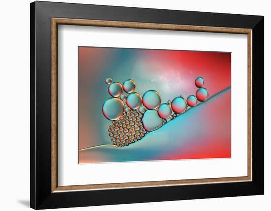 Complementary-Heidi Westum-Framed Photographic Print