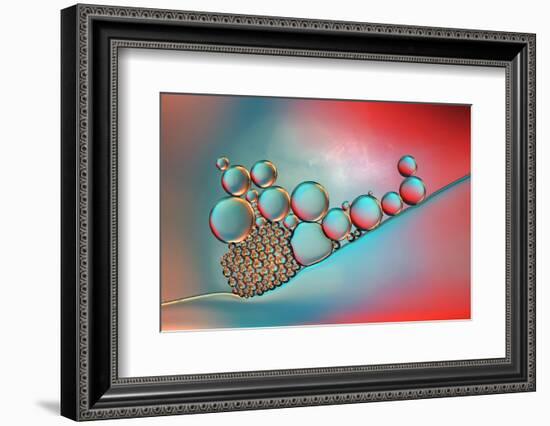 Complementary-Heidi Westum-Framed Photographic Print