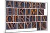 Complete English Alphabet in Vintage Wood Type-PixelsAway-Mounted Art Print