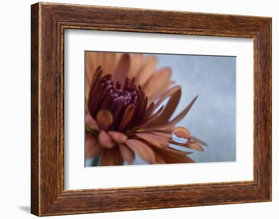 Completely at rest-Heidi Westum-Framed Photographic Print