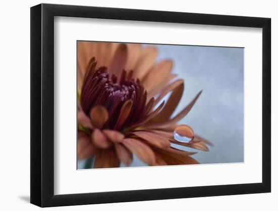 Completely at rest-Heidi Westum-Framed Photographic Print