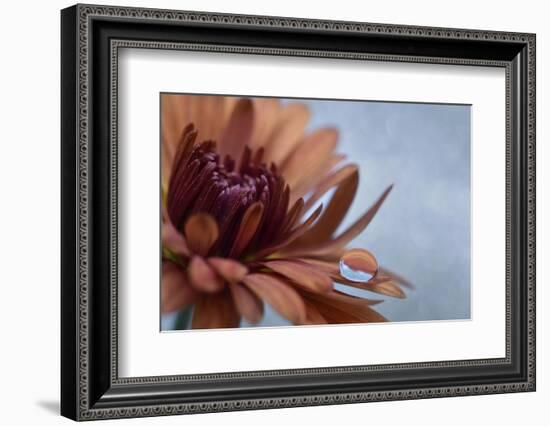 Completely at rest-Heidi Westum-Framed Photographic Print