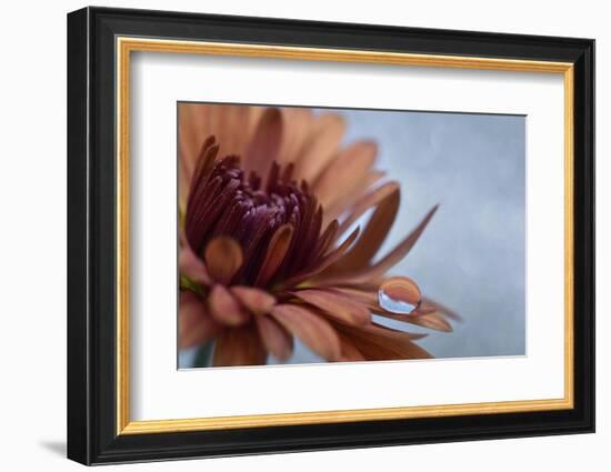 Completely at rest-Heidi Westum-Framed Photographic Print