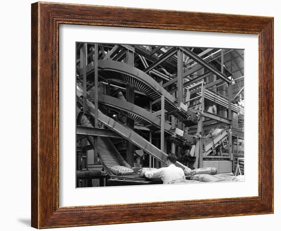 Complex Conveyor Delivery, Spillers Animal Foods, Gainsborough, Lincolnshire, 1962-Michael Walters-Framed Photographic Print