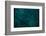 Complex Meditation-Doug Chinnery-Framed Photographic Print