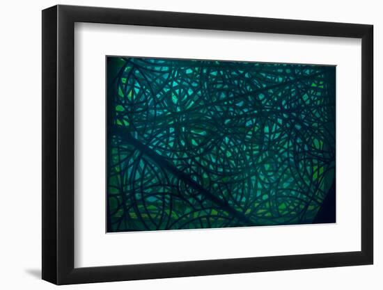 Complex Meditation-Doug Chinnery-Framed Photographic Print