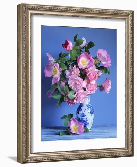 Complicata and Felicia Roses-Clay Perry-Framed Photographic Print