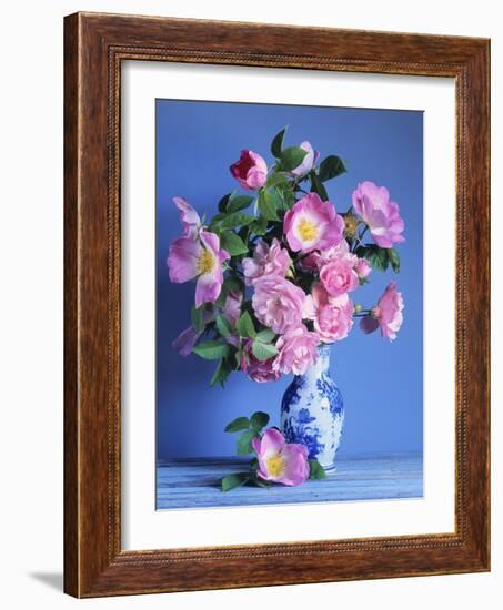 Complicata and Felicia Roses-Clay Perry-Framed Photographic Print