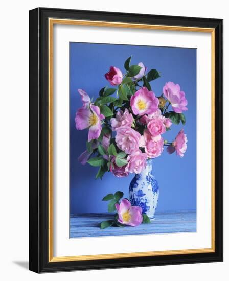 Complicata and Felicia Roses-Clay Perry-Framed Photographic Print