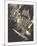 Composer Klemperer-Ernst Ludwig Kirchner-Mounted Premium Giclee Print