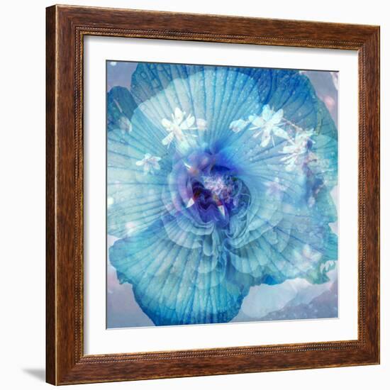 Composing of a Flower in Blue Tones with White Flowering Branch-Alaya Gadeh-Framed Photographic Print