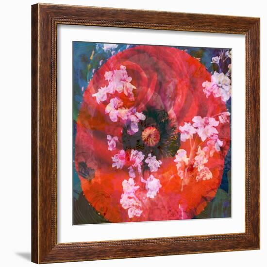 Composing of a Red Poppy and Rose with Pink Flowering Branches-Alaya Gadeh-Framed Photographic Print