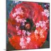 Composing of a Red Poppy and Rose with Pink Flowering Branches-Alaya Gadeh-Mounted Photographic Print