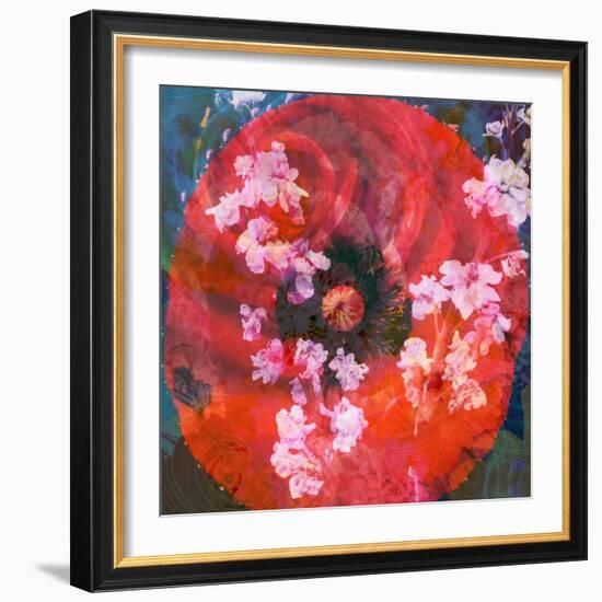 Composing of a Red Poppy and Rose with Pink Flowering Branches-Alaya Gadeh-Framed Photographic Print