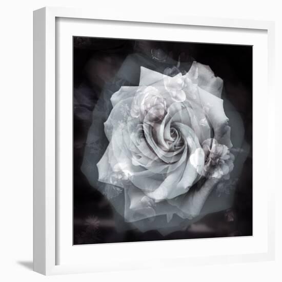 Composing of a White Rose Layered with Blossoms Infront of Black Background-Alaya Gadeh-Framed Photographic Print