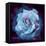 Composing of a White Rose Layered with Blue Tones and Blossoms-Alaya Gadeh-Framed Premier Image Canvas