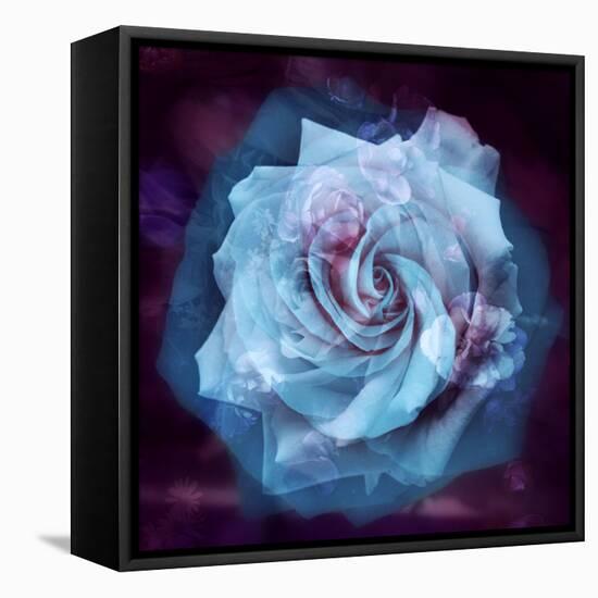 Composing of a White Rose Layered with Blue Tones and Blossoms-Alaya Gadeh-Framed Premier Image Canvas