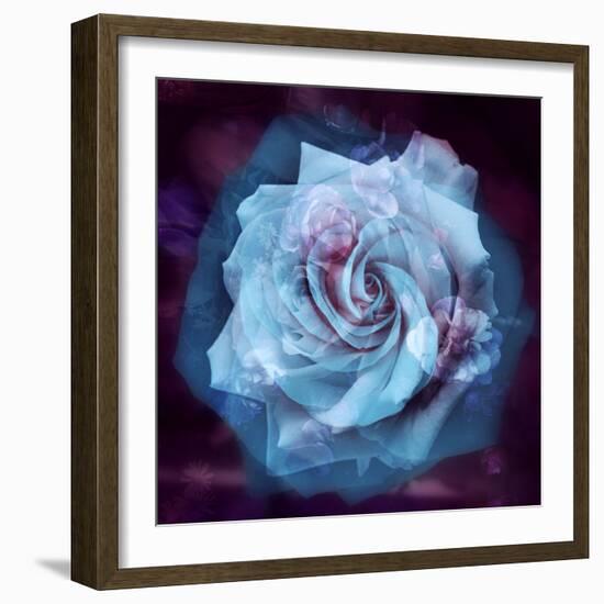 Composing of a White Rose Layered with Blue Tones and Blossoms-Alaya Gadeh-Framed Photographic Print