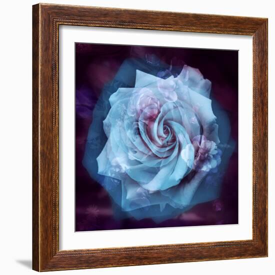 Composing of a White Rose Layered with Blue Tones and Blossoms-Alaya Gadeh-Framed Photographic Print