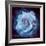 Composing of a White Rose Layered with Blue Tones and Blossoms-Alaya Gadeh-Framed Photographic Print