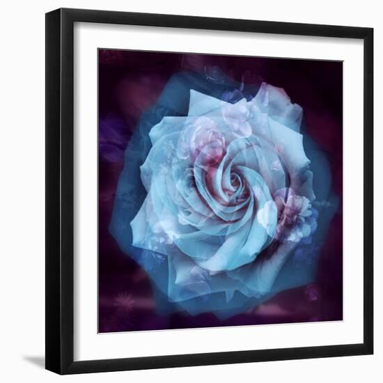 Composing of a White Rose Layered with Blue Tones and Blossoms-Alaya Gadeh-Framed Photographic Print