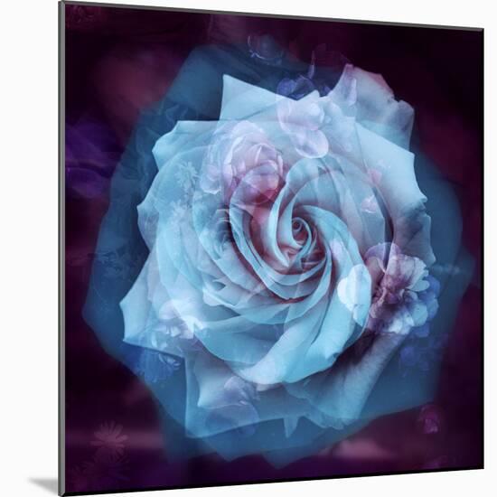 Composing of a White Rose Layered with Blue Tones and Blossoms-Alaya Gadeh-Mounted Photographic Print