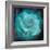 Composing of a White Rose Layered with Emerald and Blossoms-Alaya Gadeh-Framed Photographic Print