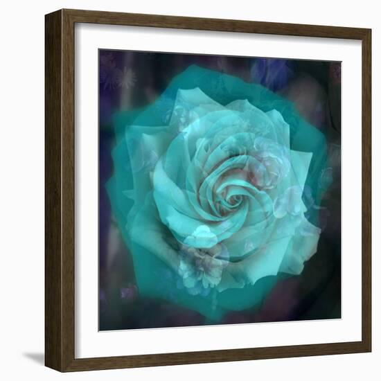 Composing of a White Rose Layered with Emerald and Blossoms-Alaya Gadeh-Framed Photographic Print