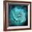 Composing of a White Rose Layered with Emerald and Blossoms-Alaya Gadeh-Framed Photographic Print