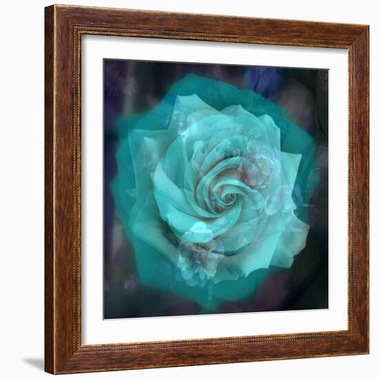 Composing of a White Rose Layered with Emerald and Blossoms-Alaya Gadeh-Framed Photographic Print